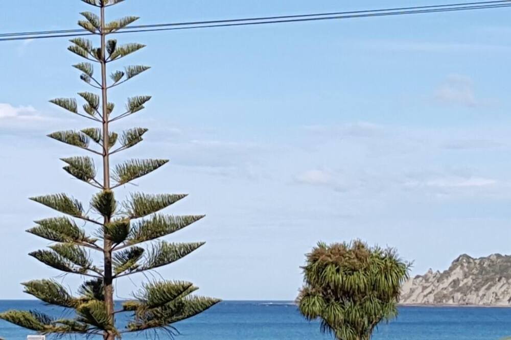 Photo of Others in Tokomaru Bay