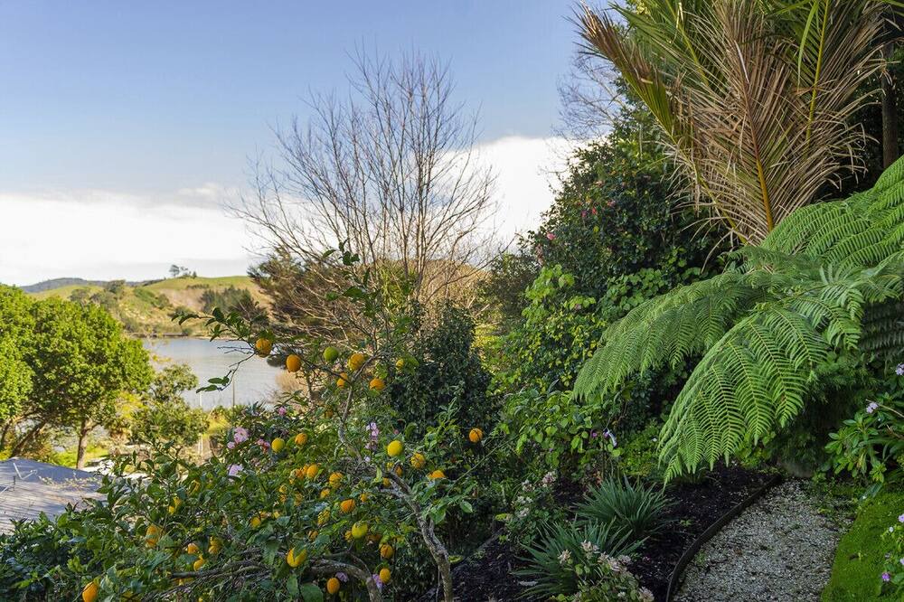 Photo of Outdoor in Whitianga