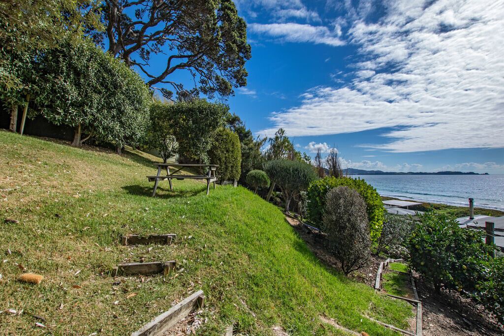 Photo of Outdoor in Matapouri