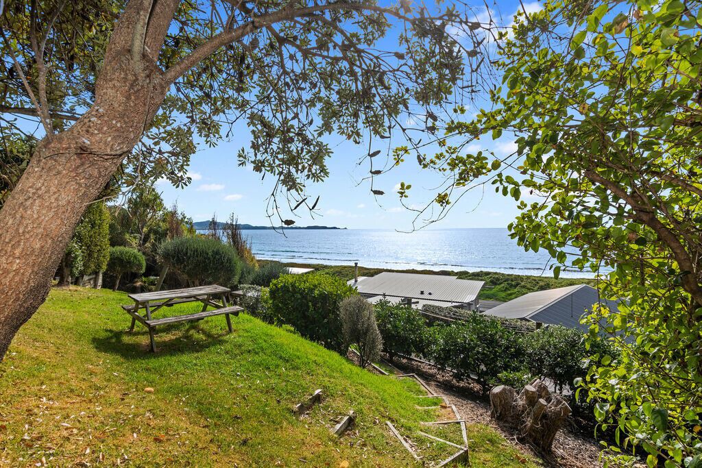 Photo of Outdoor in Matapouri