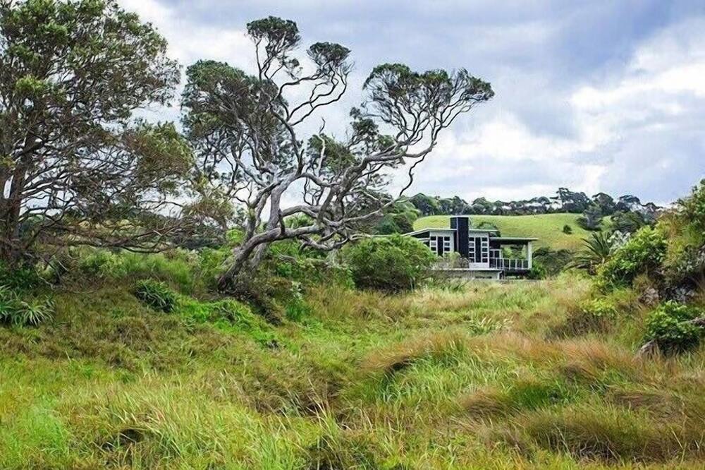 Photo of Outdoor in Matapouri