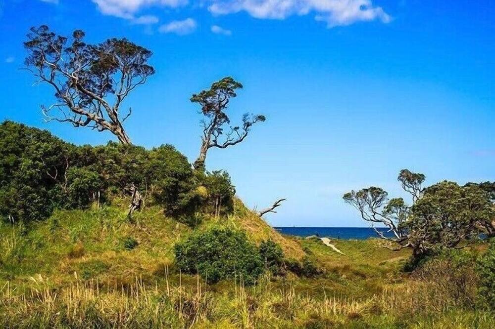 Photo of Others in Matapouri