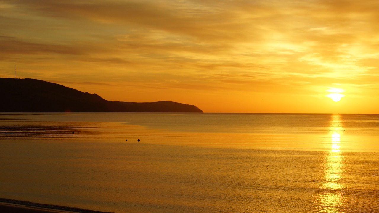 Photo of Others in Fortrose