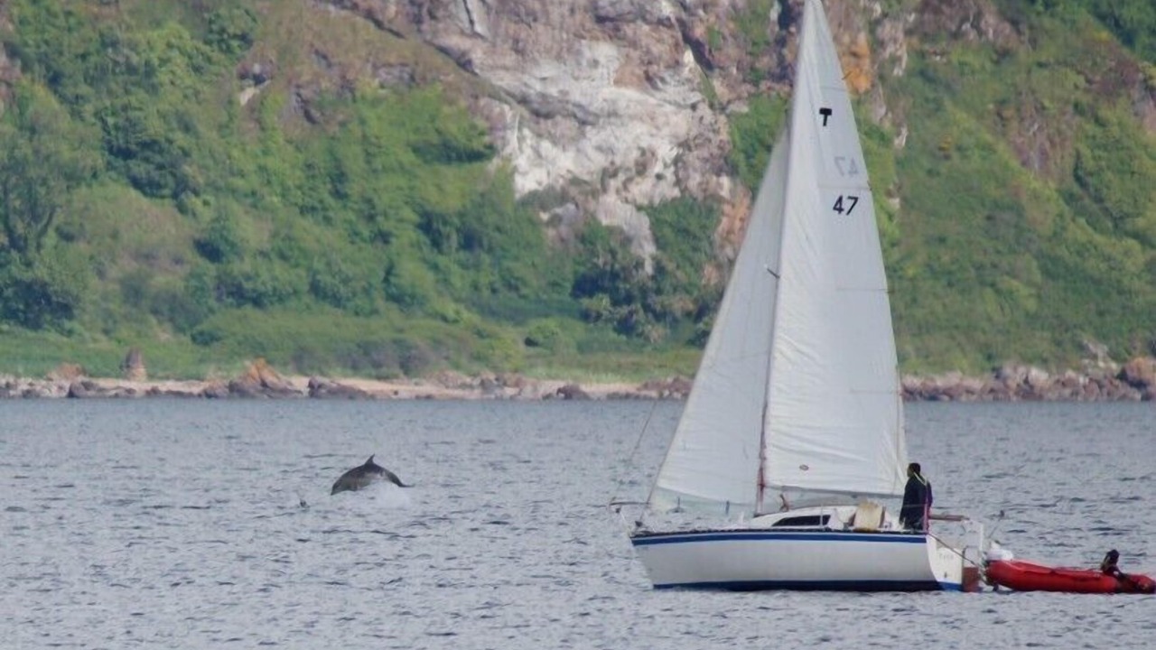 Photo of Others in Fortrose