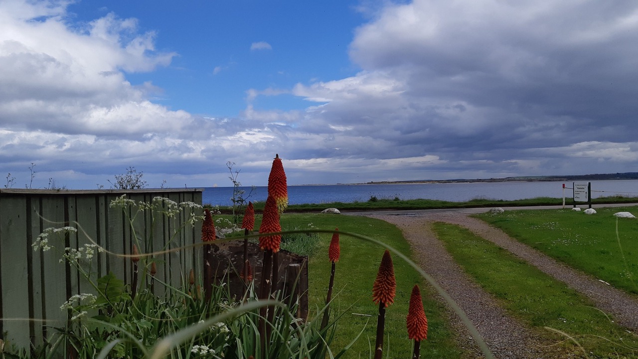 Photo of Outdoor in Fortrose