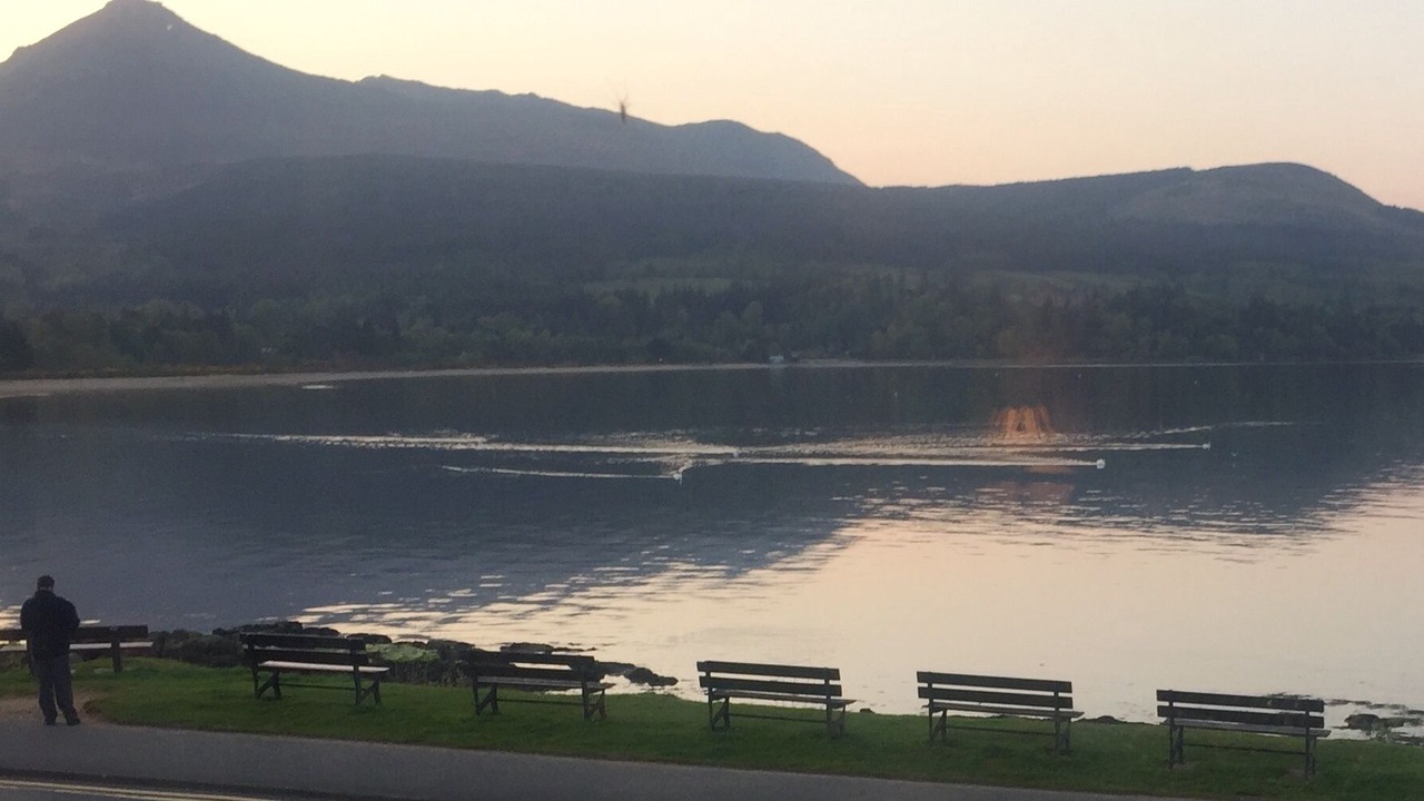 Photo of Others in Brodick