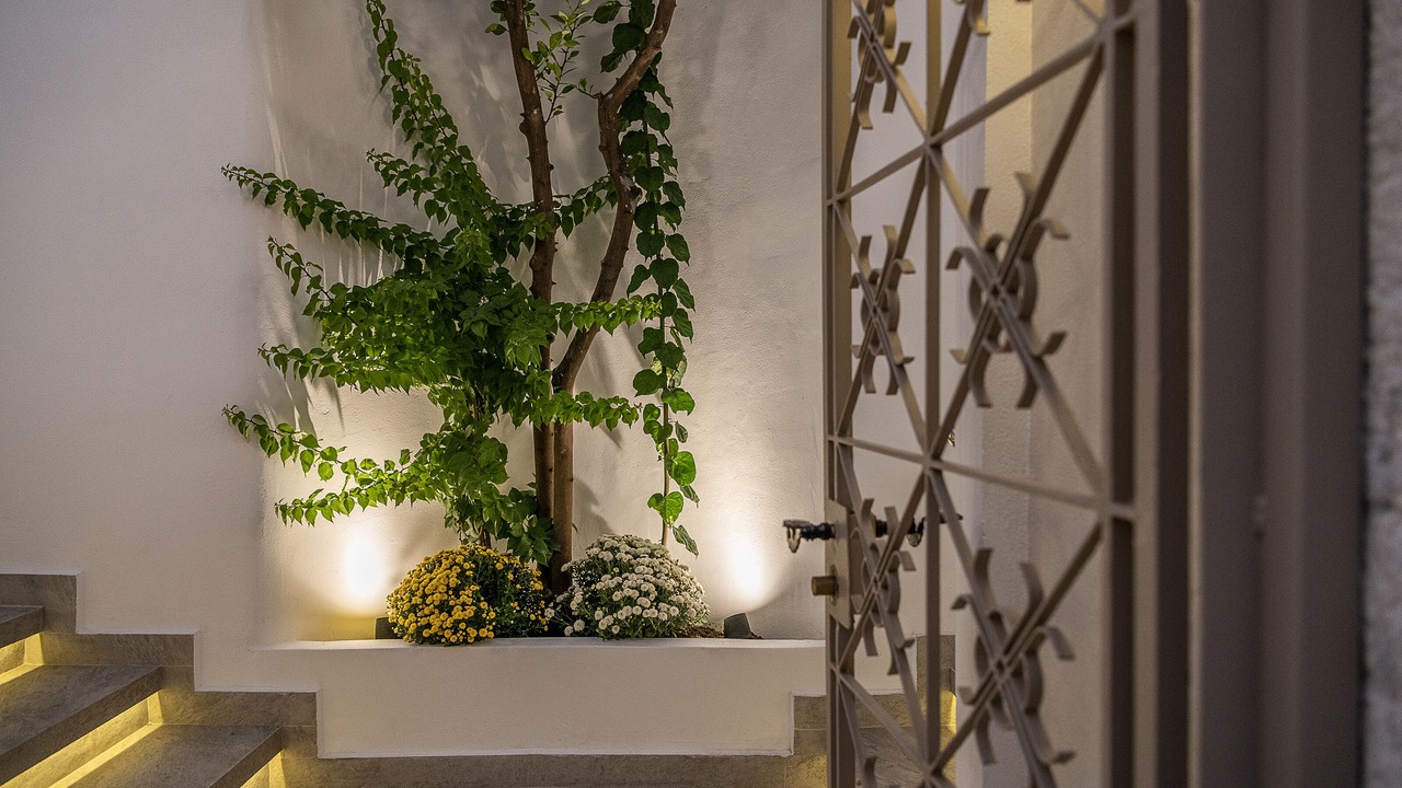 Photo of Outdoor in Chania Town