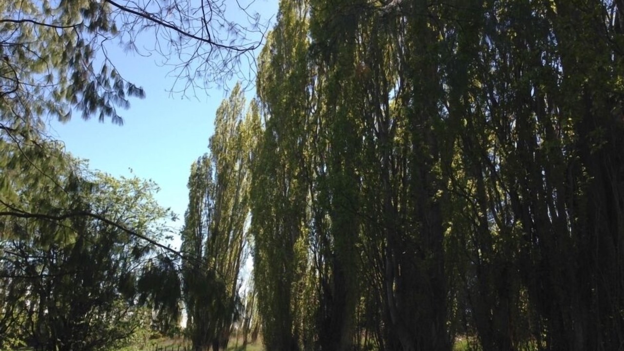 Photo of Outdoor in Lowburn