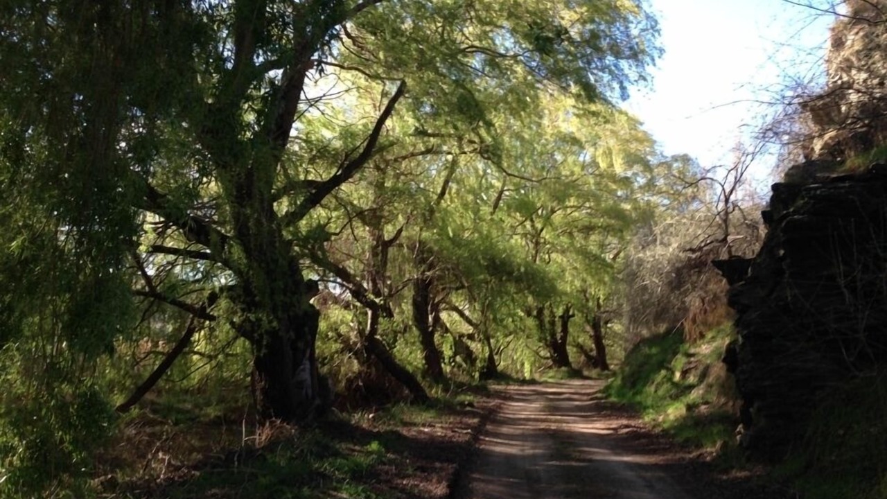 Photo of Outdoor in Lowburn