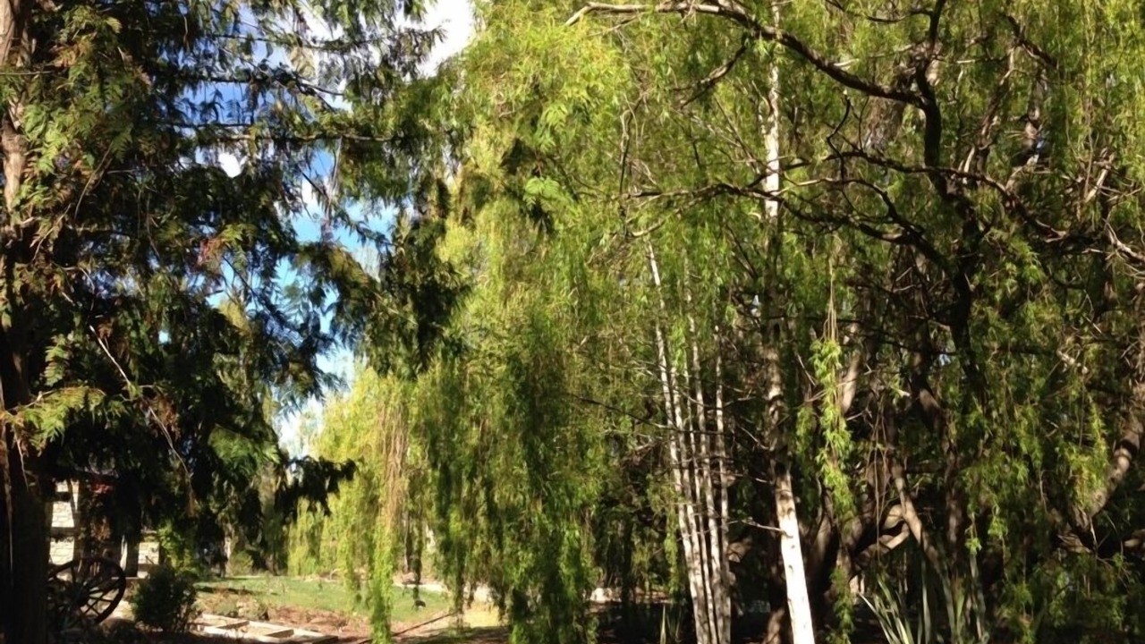 Photo of Outdoor in Lowburn
