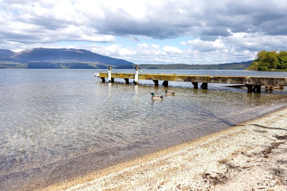 Photo of Others in Lake Tarawera