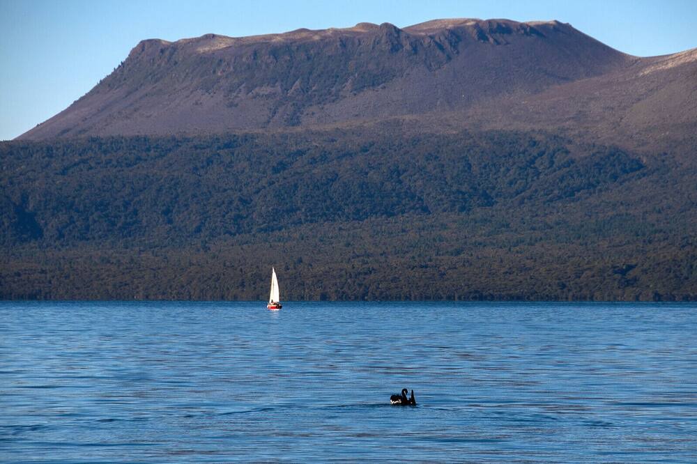 Photo of Others in Lake Tarawera