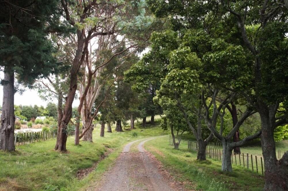 Photo of Others in Eskdale