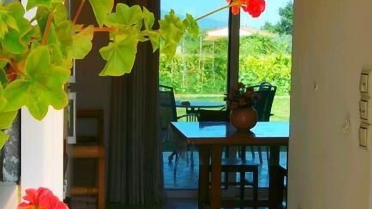 Photo of Others in Aigio