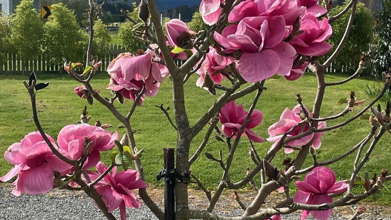Photo of Outdoor in Featherston