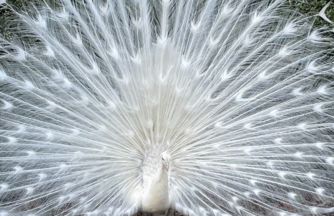 Photo of Others in Featherston