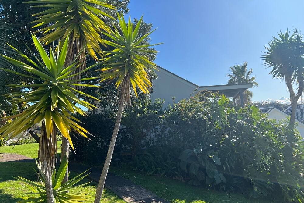 Photo of Outdoor in Waiheke Island