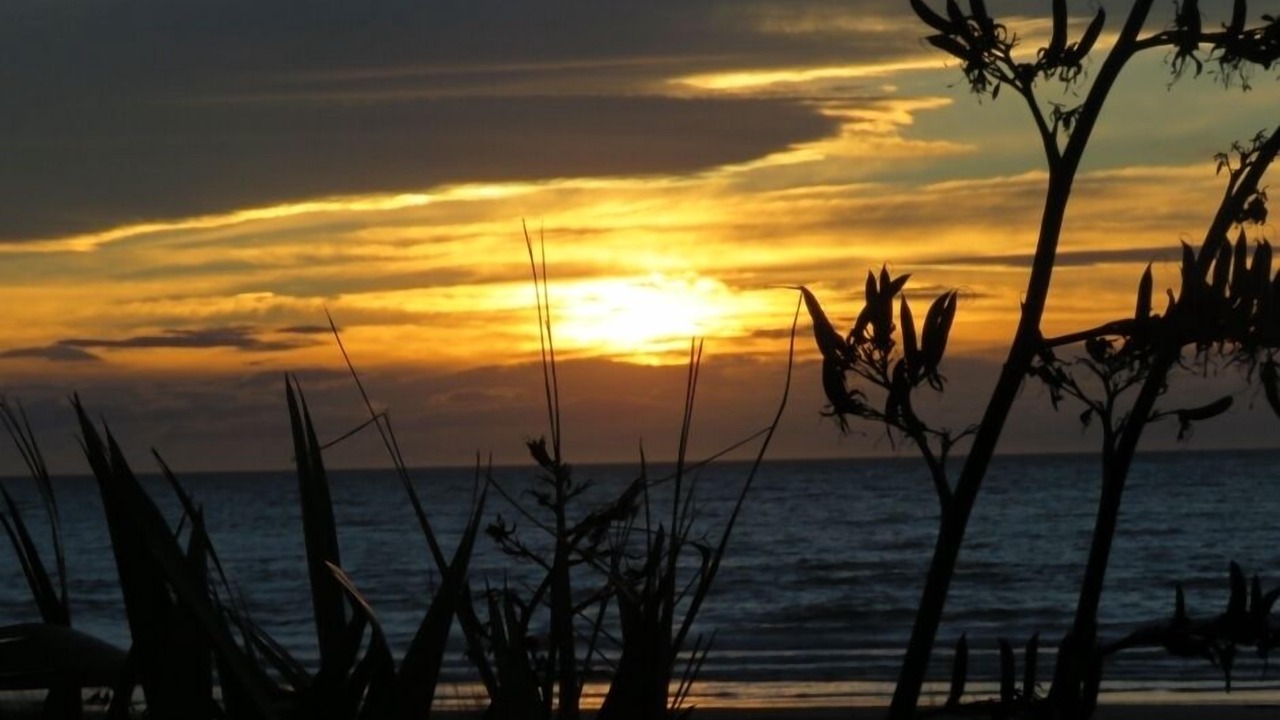 Photo of Others in Mahia