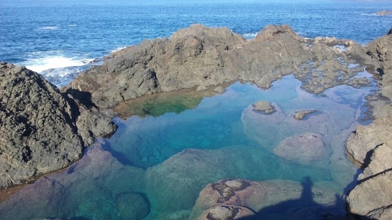 Photo of Outdoor in Ngunguru