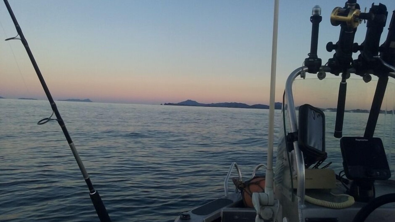 Photo of Others in Ngunguru