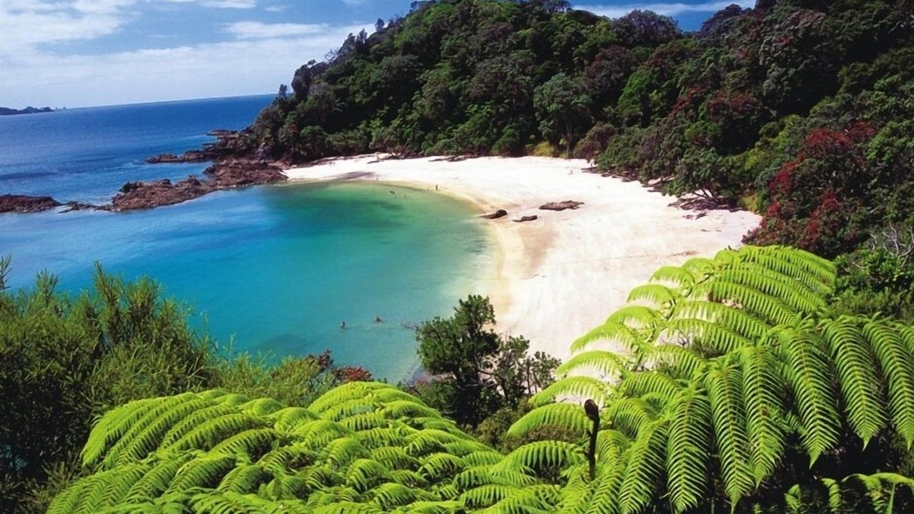 Photo of Outdoor in Ngunguru