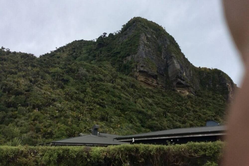 Photo of Others in Punakaiki