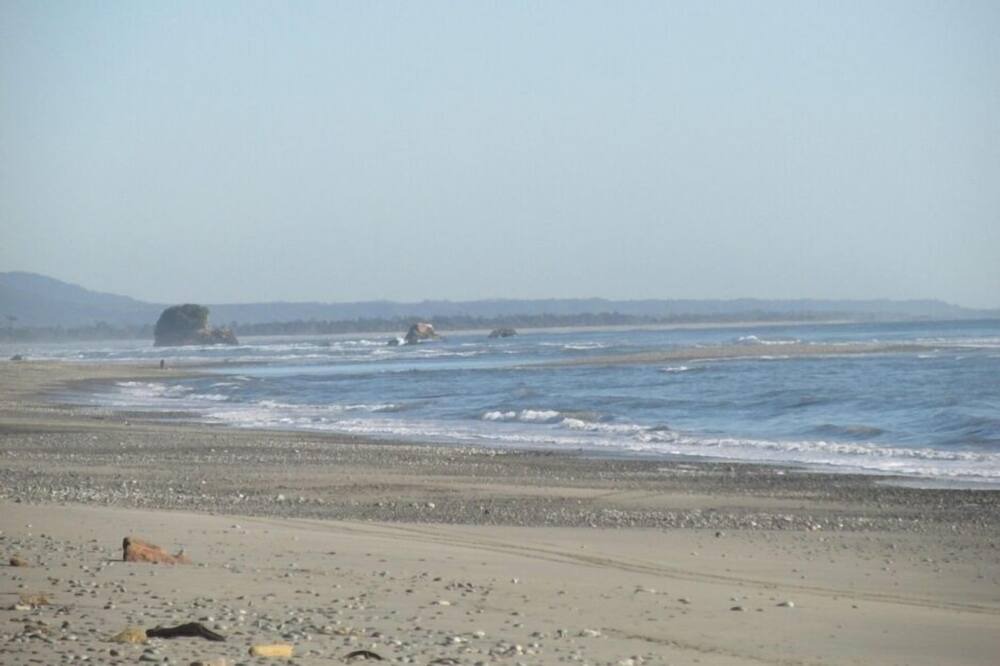 Photo of Others in Hector