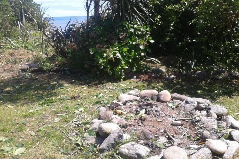 Photo of Others in Hector