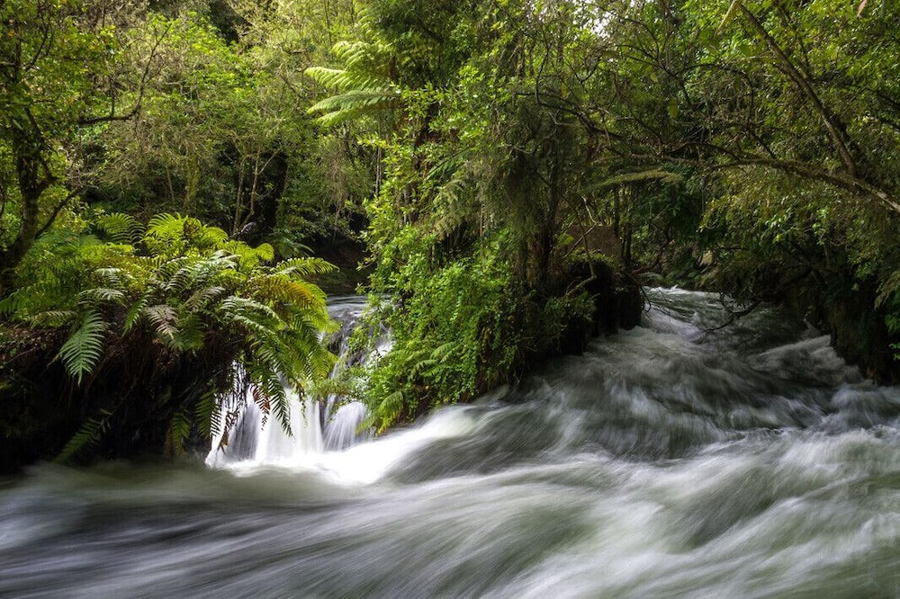 Photo of Outdoor in Okere Falls