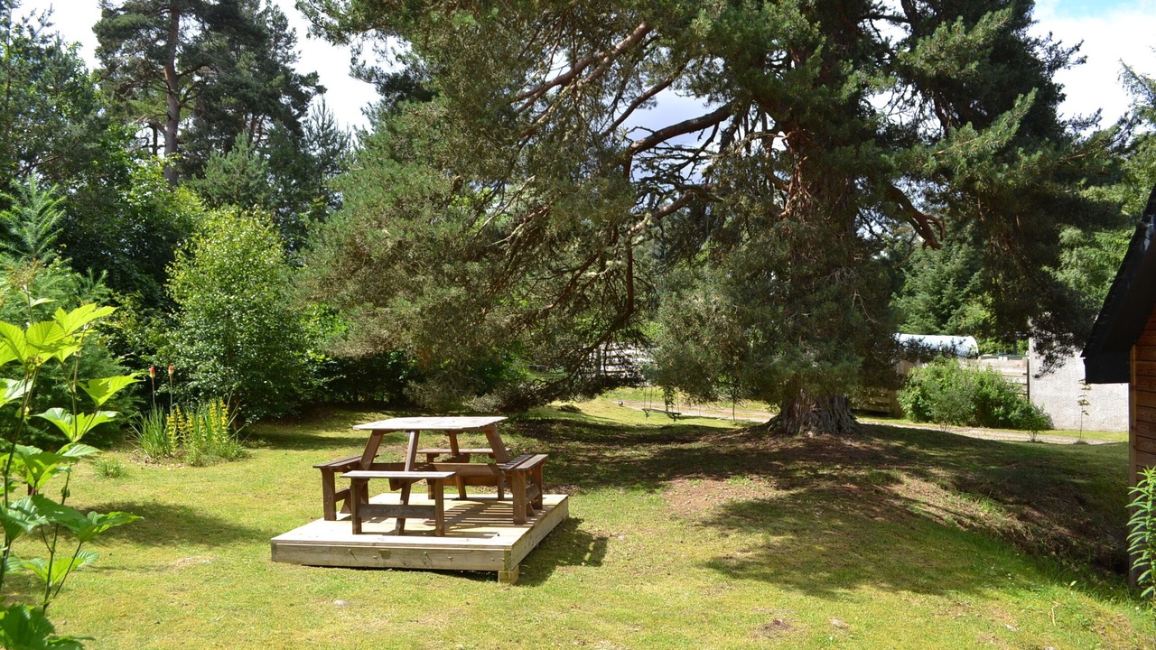 Photo of Outdoor in Inverarnie