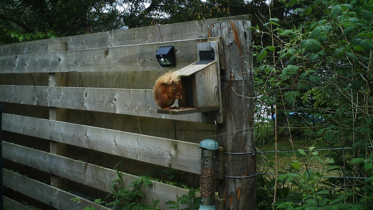 Photo of Others in Inverarnie