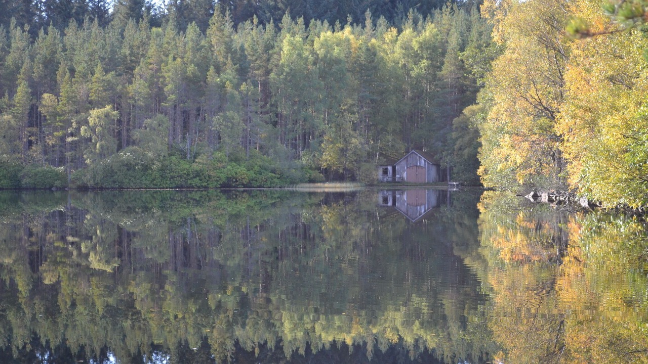 Photo of Outdoor in Inverarnie