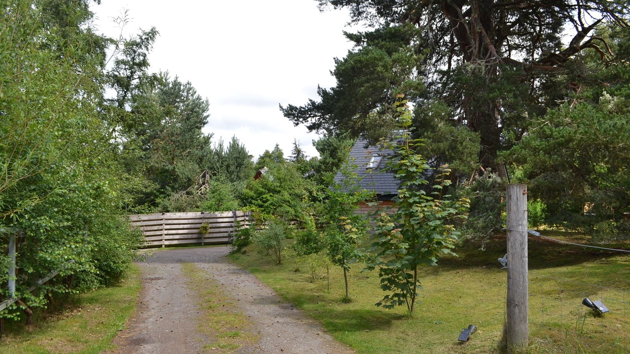 Photo of Outdoor in Inverarnie