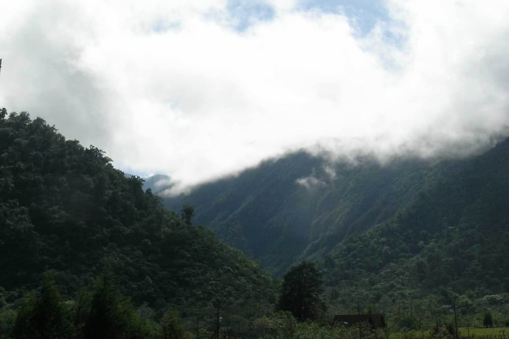 Photo of Others in Poas Volcano National Park