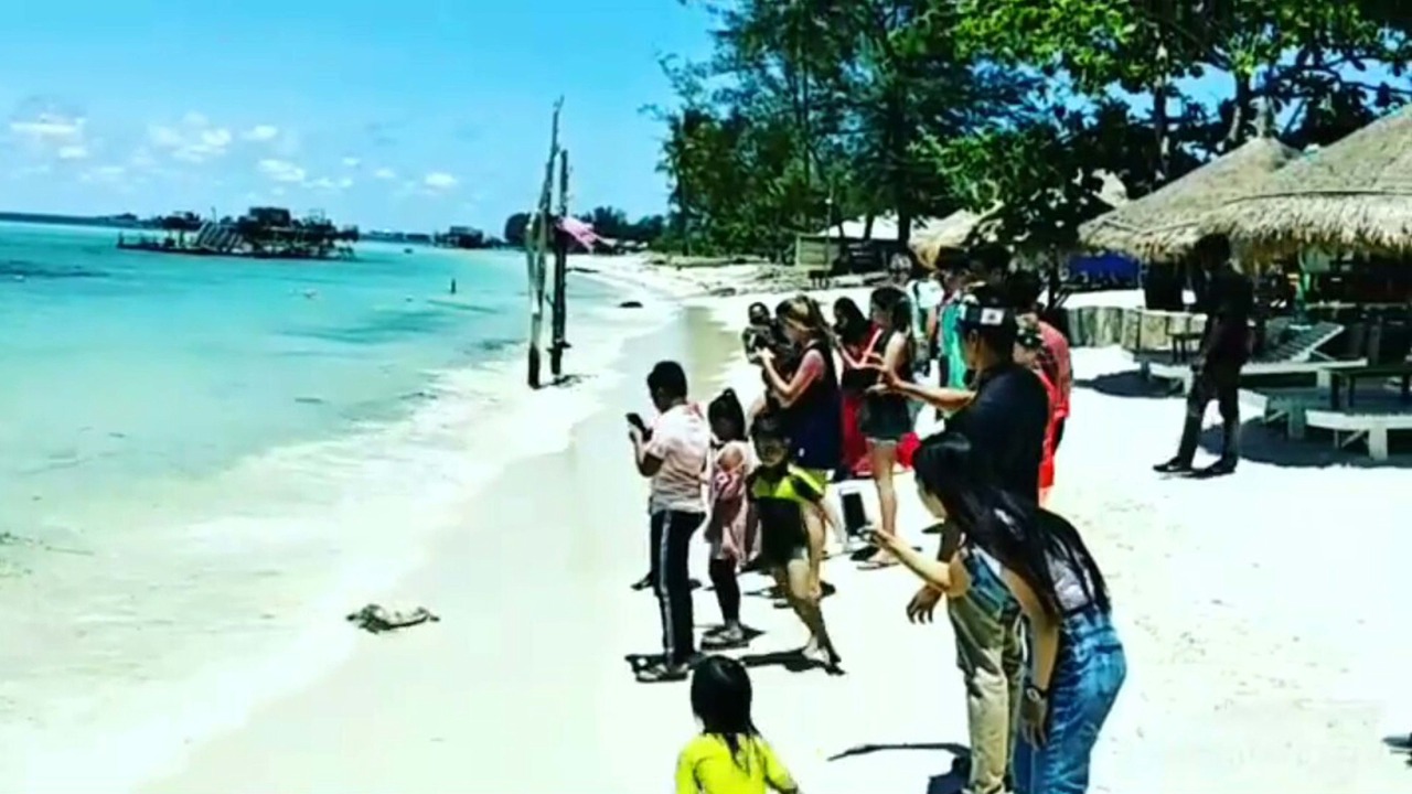 Photo of Others in Bintan
