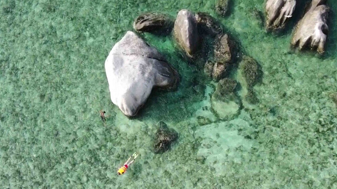 Photo of Others in Bintan