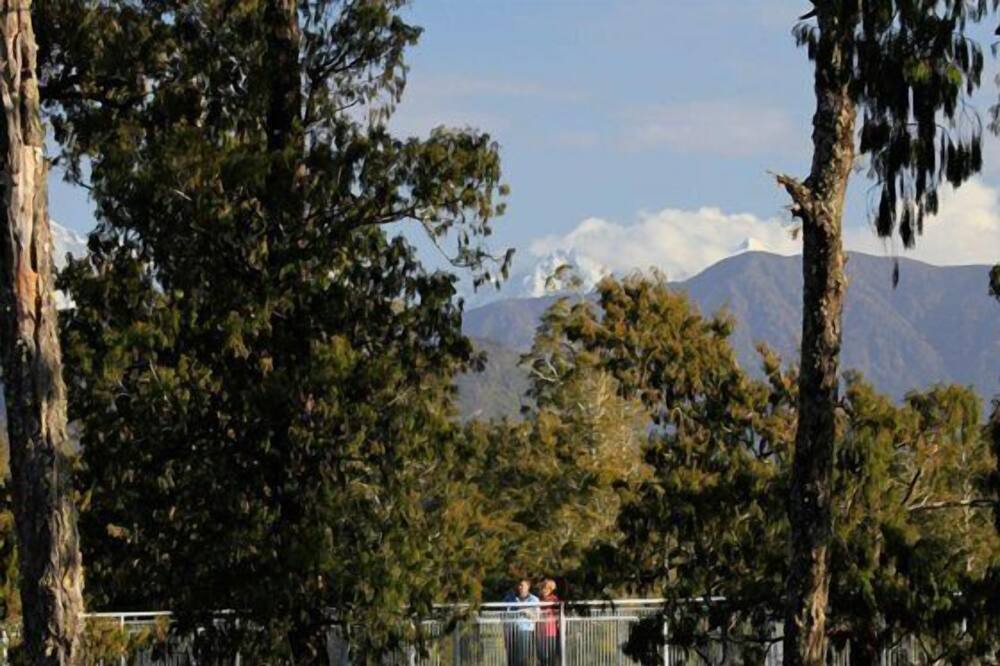 Photo of Others in Hokitika