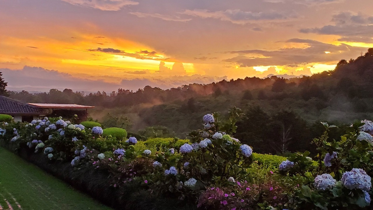 Photo of Outdoor in Santo Domingo