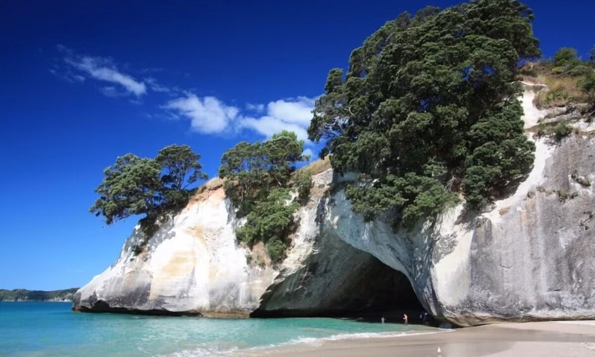 Photo of Others in Hot Water Beach