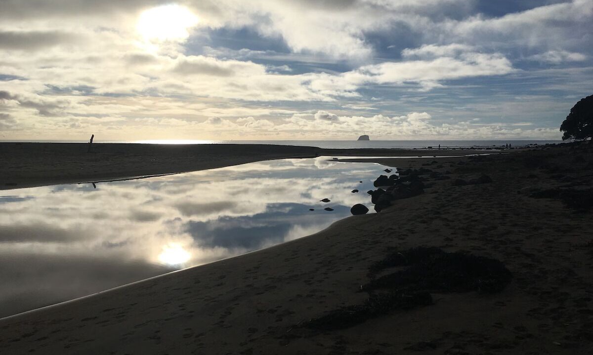 Photo of Others in Hot Water Beach