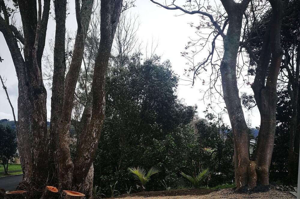 Photo of Outdoor in Waihi Beach