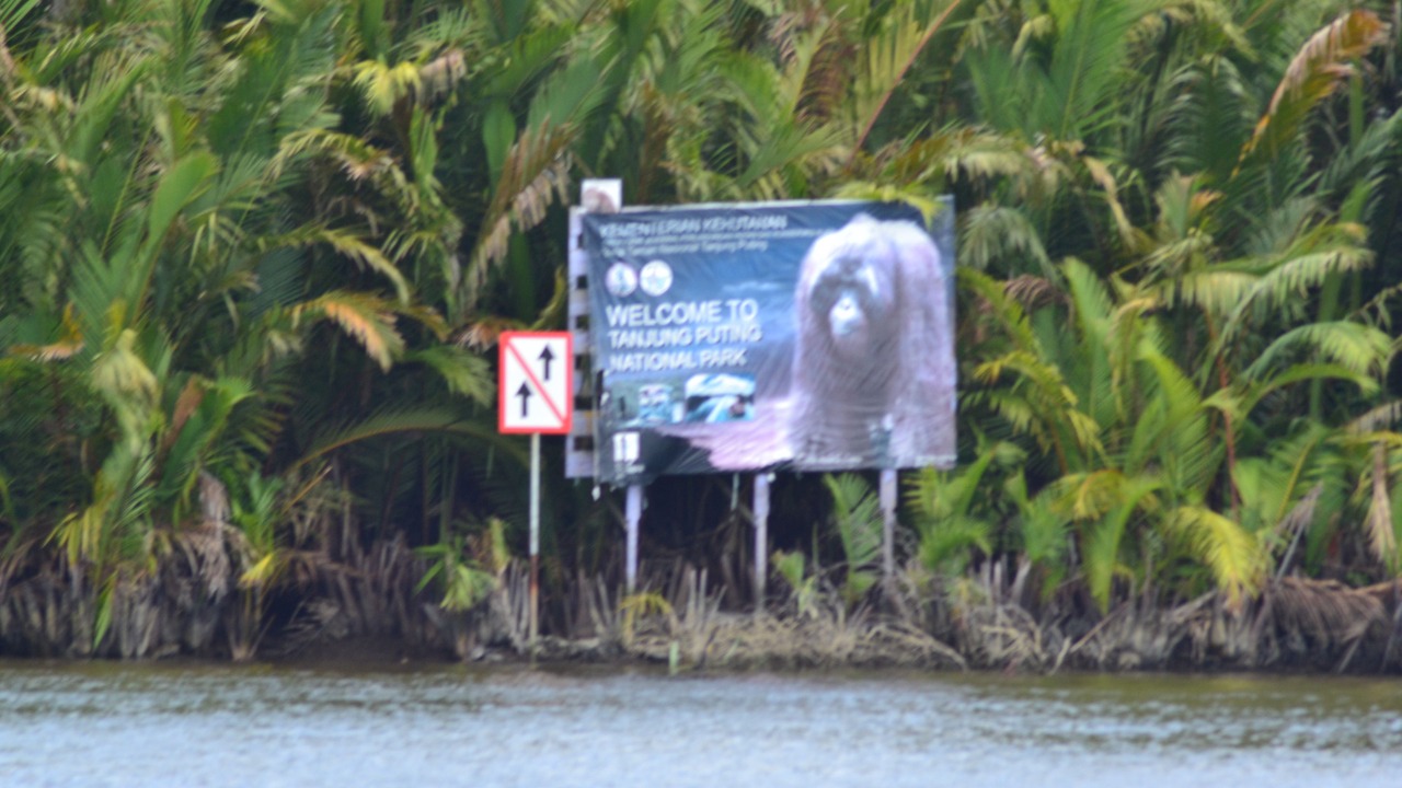 Photo of Others in Kumai