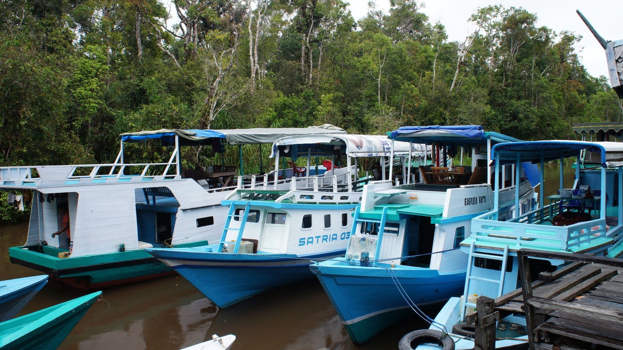 Photo of Outdoor in Kumai