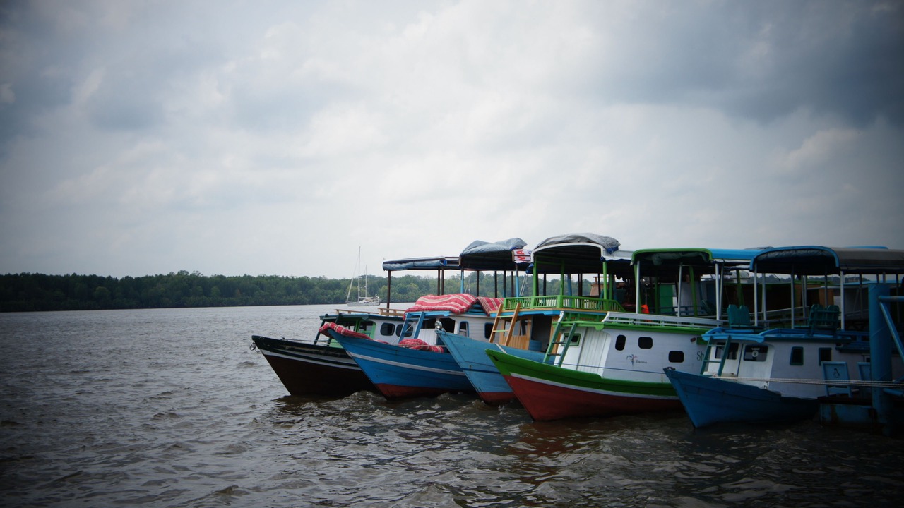 Photo of Others in Kumai