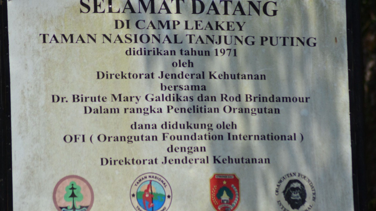 Photo of Others in Kumai