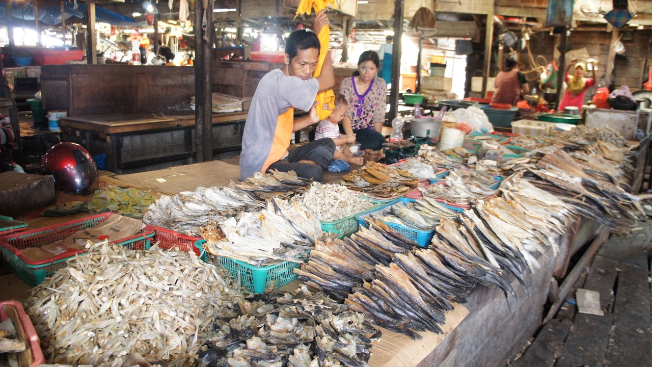Photo of Others in Kumai