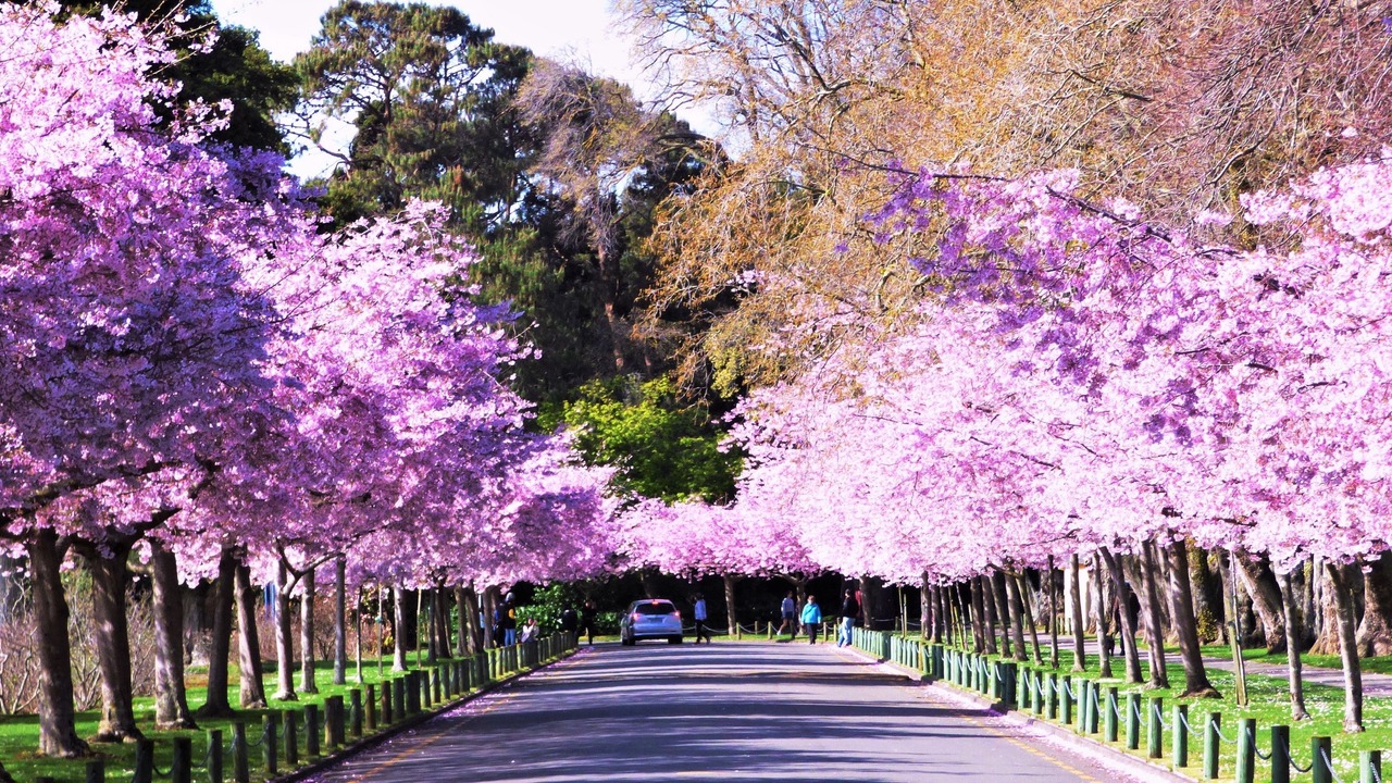 Photo of Outdoor in Palmerston North