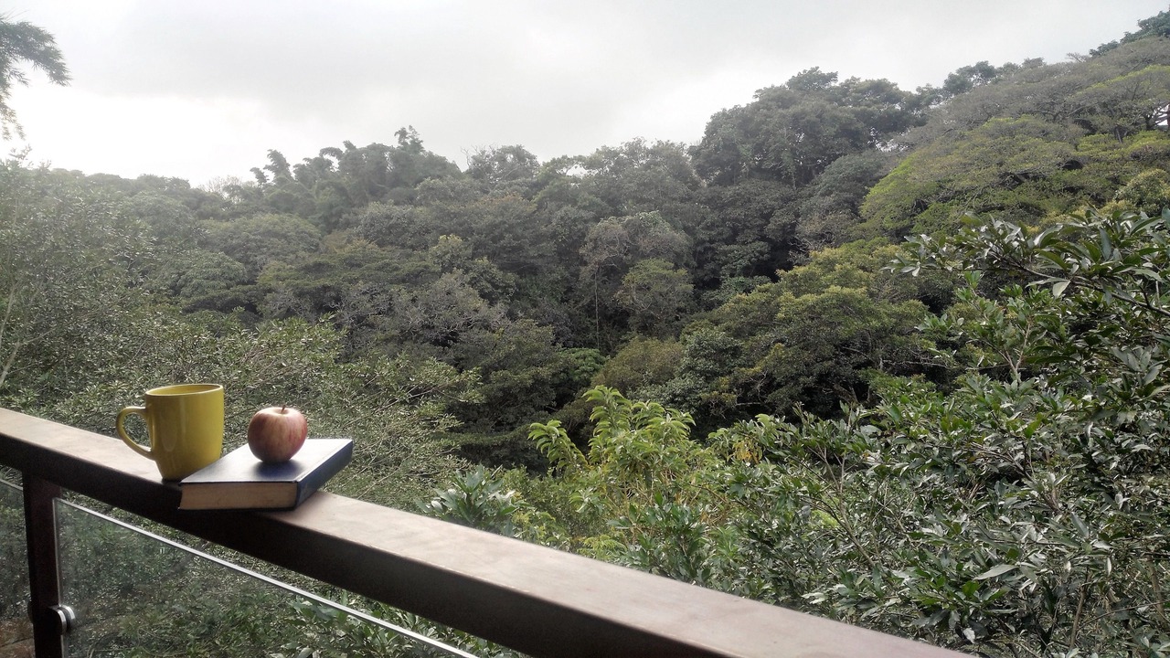 Photo of Patio Balcony in Desamparados