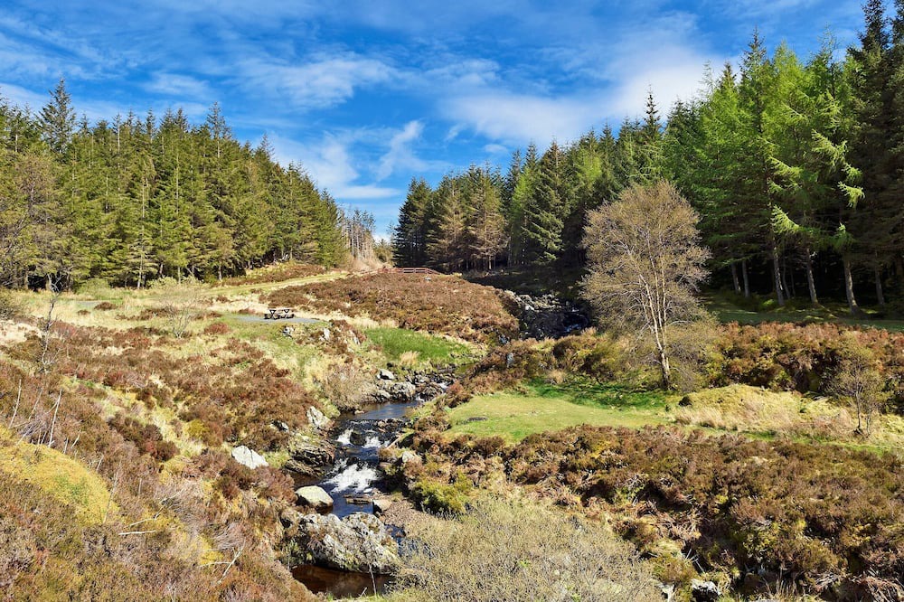Photo of Outdoor in Colmonell
