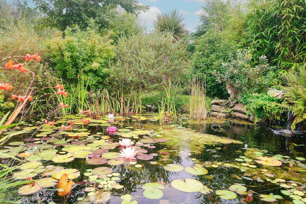 Photo of Outdoor in Acharacle